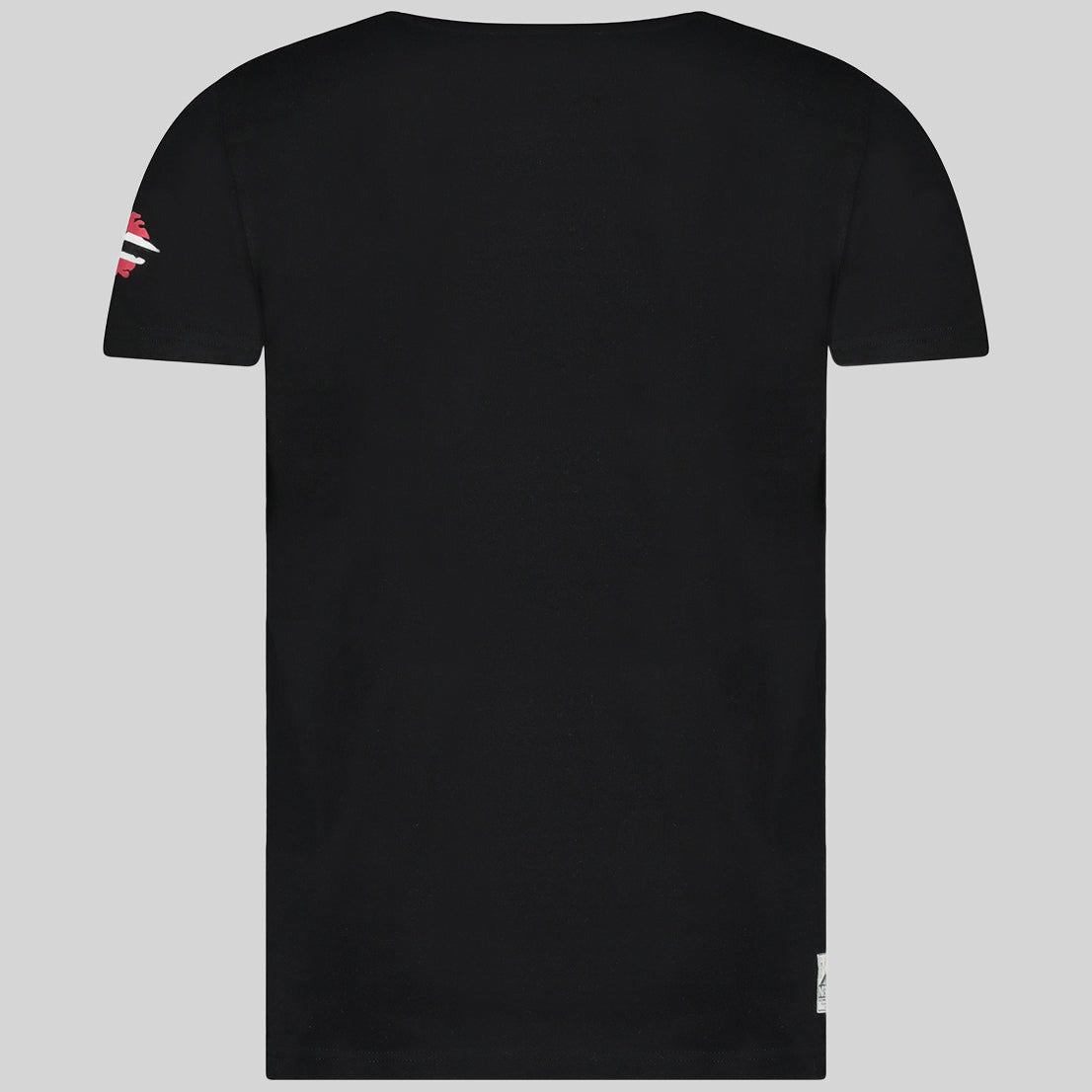 geographical-norway-jotham-t-shirt-herren-schwarz-v-ausschnitt image 3