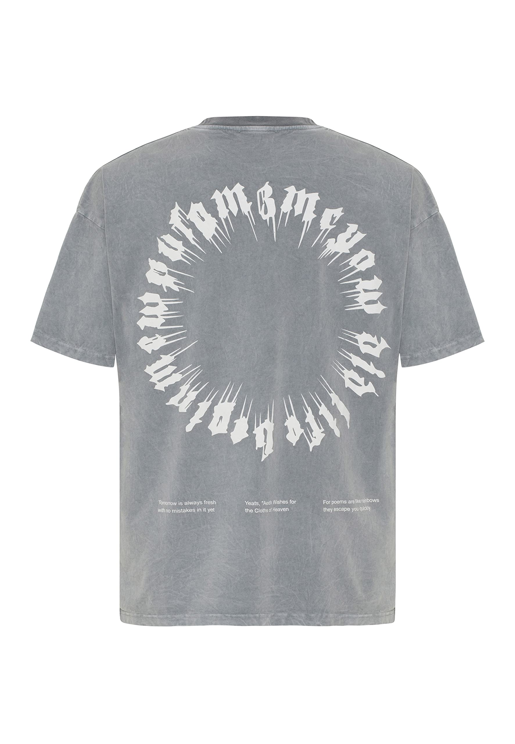 redbridge-premium-t-shirt-herren-grau-s-baumwolle-kurzarm image 2